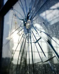 Seguro Integral de Consorcio