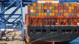 el futuro de las exportaciones