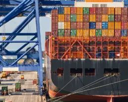 el futuro de las exportaciones