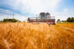 Argentina exporta trigo a China