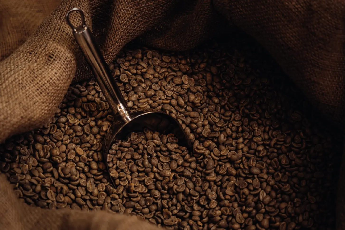 Cadena logística del café