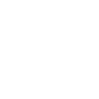 precision tecnica